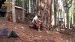 Dangerous Skills Fastest Tree FellingMachine Working - Biggest Tree Chainsaw  Cutting Down Machines