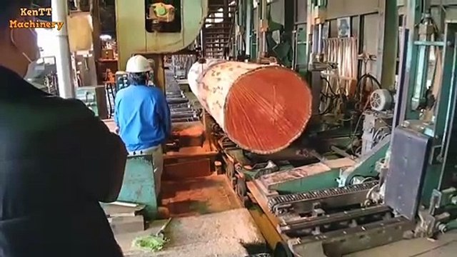 Dangerous Speed Skills Wood Sawmill Big Tree Machine Working - Wood Processing Completed