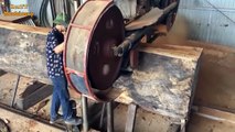 Dangerrus Sawmill Factory You never seen - Wood Processor Production Machine Working