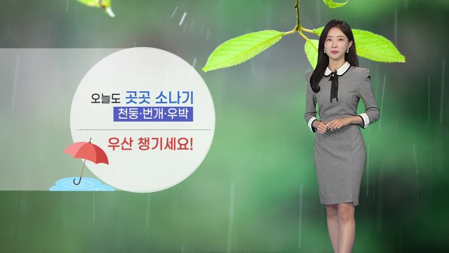 [날씨] 오늘도 전국 곳곳 요란한 소나기...낮 동안 더위 주춤 / YTN