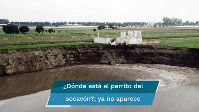 “Desaparece” el otro perro ubicado dentro del socavón en Puebla