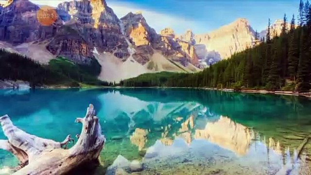 مقطع رائع جدا جدا يدرس ويكتب بريشة من الذهب