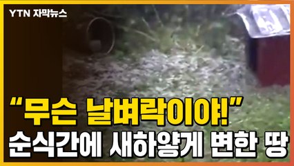 [자막뉴스] "무슨 날벼락이야!" 순식간에 새하얗게 변해버린 땅 / YTN