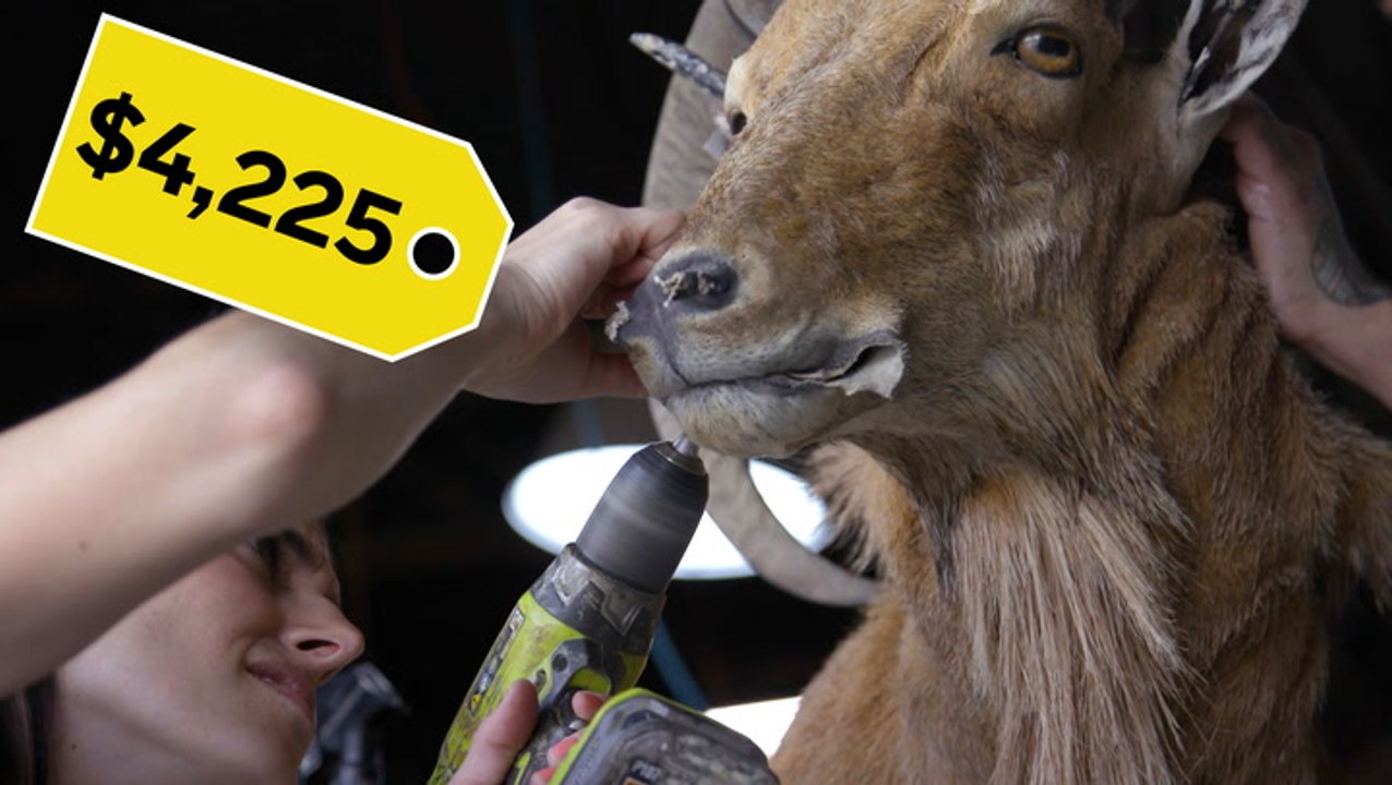 How trophy hunting in Texas became a multibillion-dollar industry