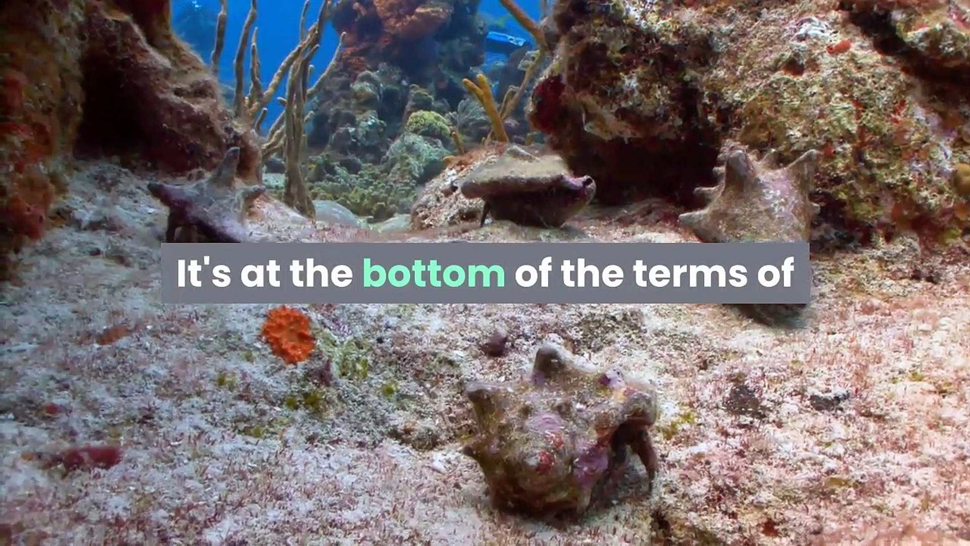 How to Create a Gmail I'd ( Account) || Article Gallery