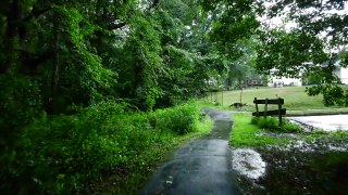 Relaxing Walk in the Rain, Umbrella and Nature Sounds for Sleep and Relaxation _