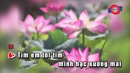 Đóa Hoa Vô Thường - Hồng Nhung