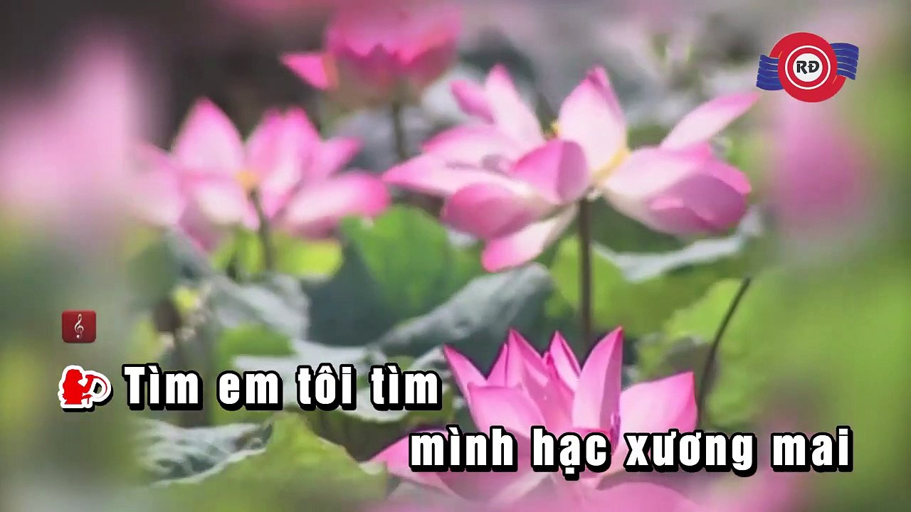 Đóa Hoa Vô Thường - Hồng Nhung