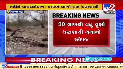 Around 30 lakh trees uprooted in Gir forest due to cyclone Tauktae _ Tv9GujaratiNews