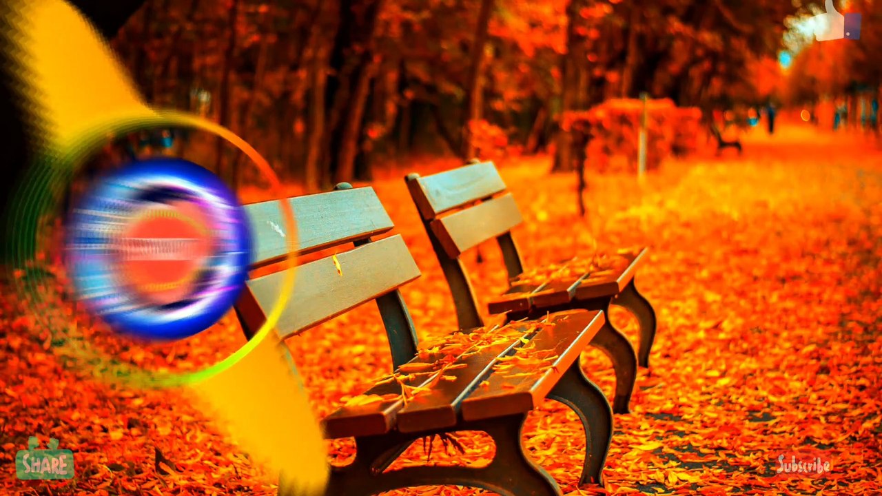 NCS : Rameses_B_-_Hardwired__FMT_Release_no_copyright _sound