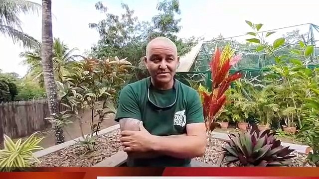 Etang-Salé : Le Zoo Parc ouvre ses portes