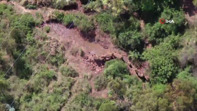 Çin'de fil yavrusunun çamur banyosu keyfi gülümsetti