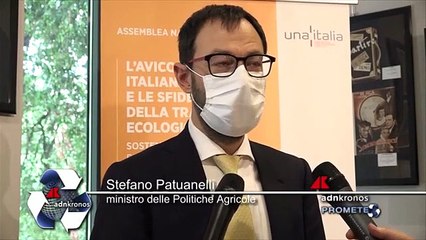 Avicoltura, Patuanelli: “Ecoschemi consentiranno ad aziende green di accedere a pagamenti diretti”