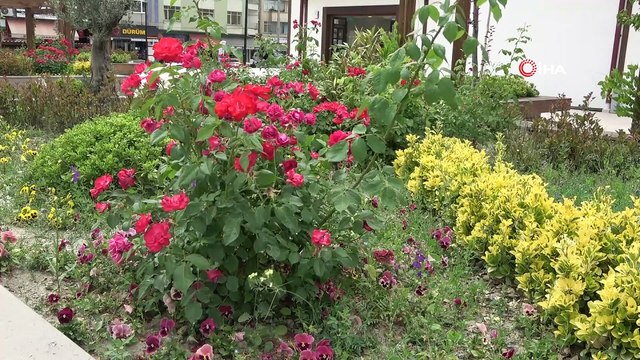 Boyabat Meydan Projesi kentin cazibe merkezi olacak