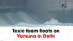 Toxic foam floats on River Yamuna in Delhi