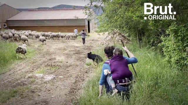Lutte du Larzac : 40 ans après, que reste-t-il ?