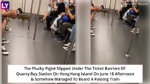 Animals On The Train: Baby Wild Boar Spotted On Hong Kong Metro