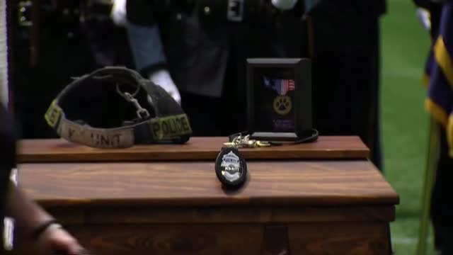 Despedida con honores a un perro policía que murió en acto de servicio en Massachusetts