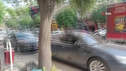 Kurbanlık keçi firarda