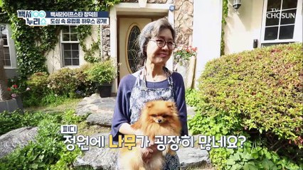 동화 속 그림 같은 장덕희 러브 하우스 공개 TV CHOSUN 20210623 방송