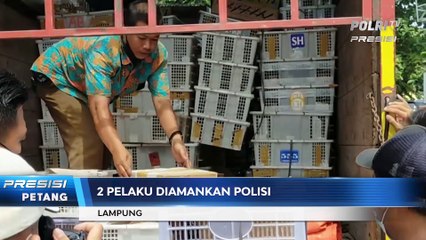 Polda Lampung Amankan 2 Tersangka Penyelundupan Satwa Langka