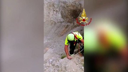 Due cani scivolano in una dolina, salvati dai Vigili del Fuoco a Sauris di Sopra (Friuli-Venezia Giulia) - video