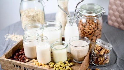 Qual leite vegetal é melhor para o meio ambiente?