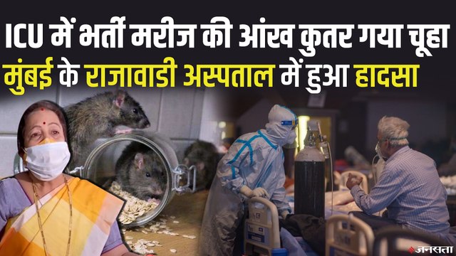 मुंबई अस्पताल में ICU में भर्ती मरीज की आंख ही कुतर गया चूहा, मरीज की हालत गंभीर