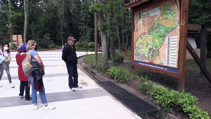 KOCAELİ - Yaralı yabani hayvanların bakım ve tedavisi Ormanya'da emin ellerde