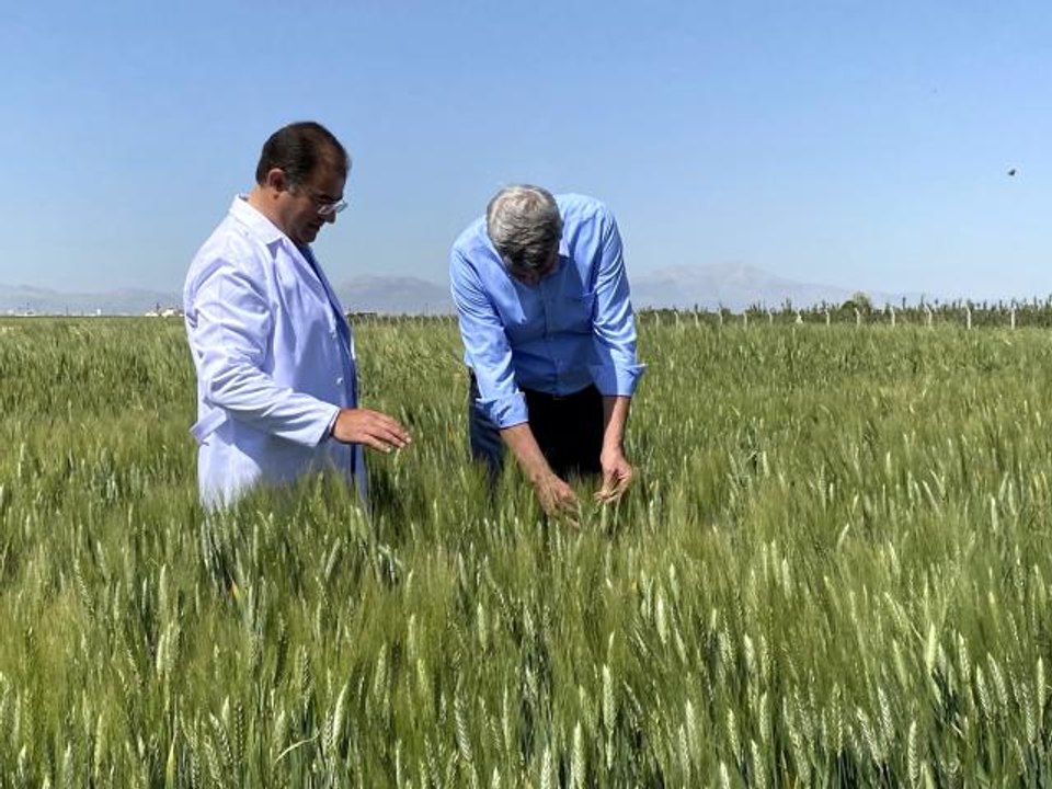 Türk yerli tohumu dünyaya açılıyor