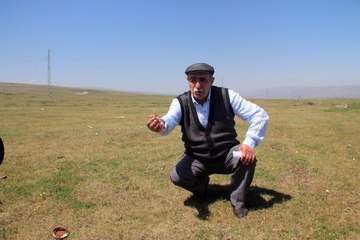 ARDAHAN'DA HAYVANLAR, KURAKLIK NEDENİYLE OT BULAMIYOR