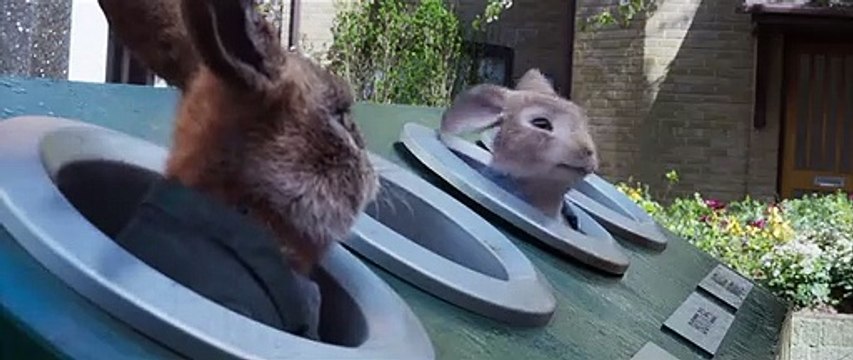 Pierre Lapin 2 Pierre Lapin 2- Extrait du Film - Recyclage