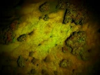 BIA Clan fragmovie Brothers in Arms