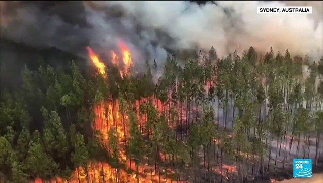 Hunger, drought, disease: UN climate report reveals dire health threats