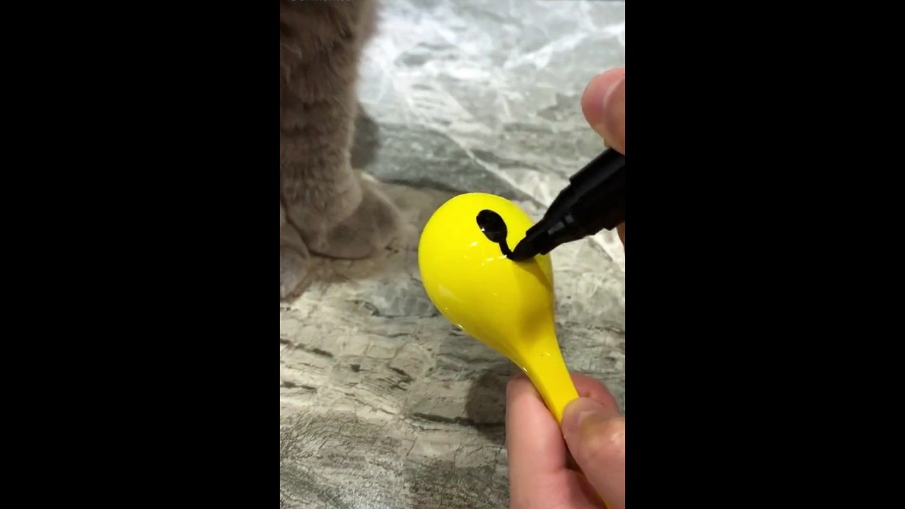 Cat catches plastic fish that you think are real.