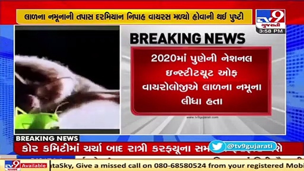 Maharashtra_ NIV team finds Nipah Virus antibodies in bats from Mahabaleshwar cave _ TV9News