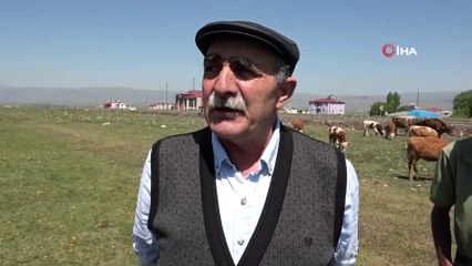 Ardahan Ziraat Odası Başkanı Latifşah Sural: Kuraklık nedeniyle 'Şap hastalığı ile karşı karşıyayız'
