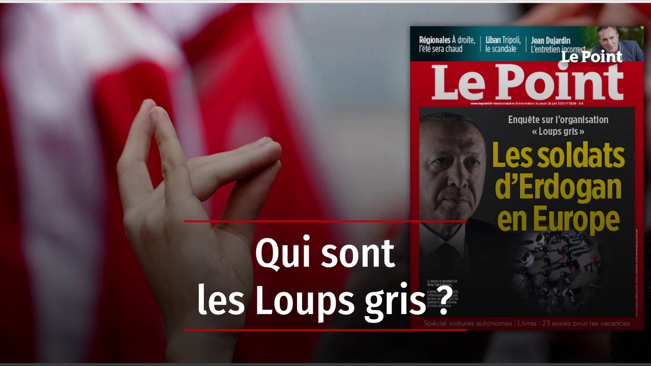Qui sont les Loups gris ?