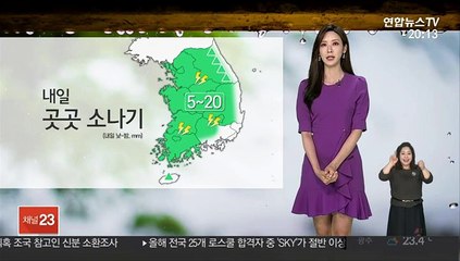 [날씨] 내일도 요란한 소나기…초여름 더위 지속