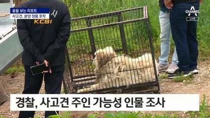 [끝보리]남양주 사고견 입양된 정황…‘주인 찾기’ 영상 판독 중