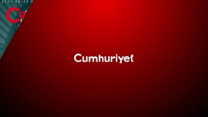 Japonya’da panda ikiz bebek dünyaya getirdi