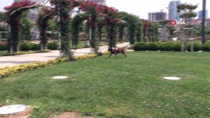 Maltepe Belediyesi’nden afetlere karşı AKUT Vakfı ile iş birliği