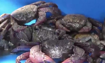 เรื่องพลบค่ำ ช่วงที่ 1 วันพุธที่ 23 มิ.ย.64