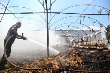 Süs bitkileri serasındaki yangın korkuttu