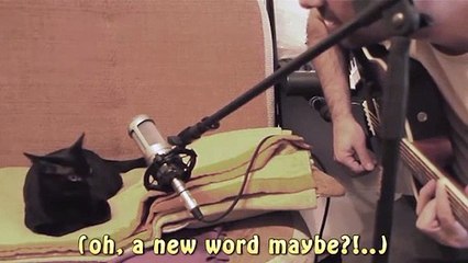 Sahibiyle düet yapan kedi