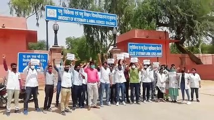 वेटरनरी यूनिवर्सिटी में मेनका गांधी के खिलाफ प्रदर्शन