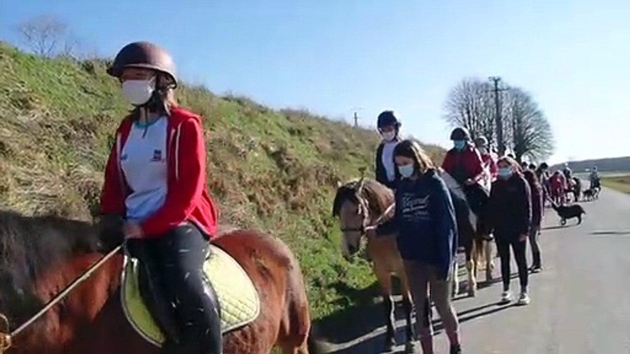 Équitation-Février 2021