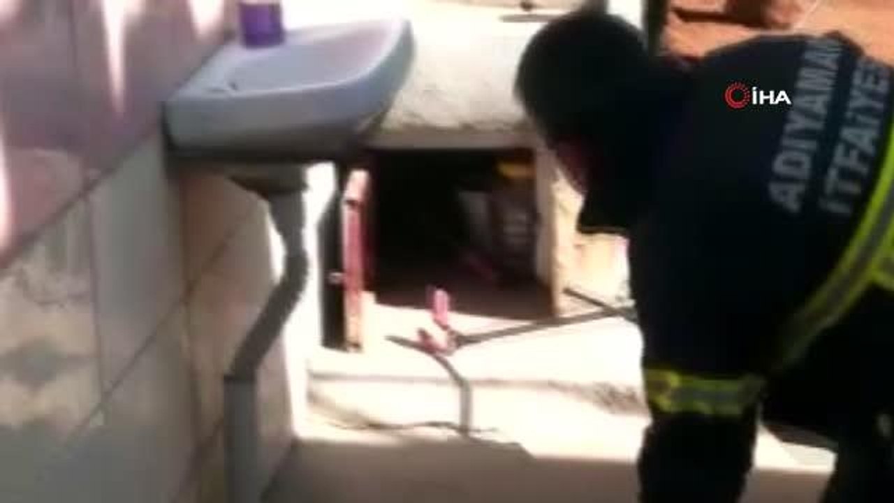 Kaçacak yer bulamayan yılan itfaiye erinin üzerine atladı