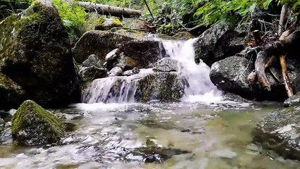 Beautiful flute music, Meditation, Yoga, peaceful music,stress relief,zen, background music