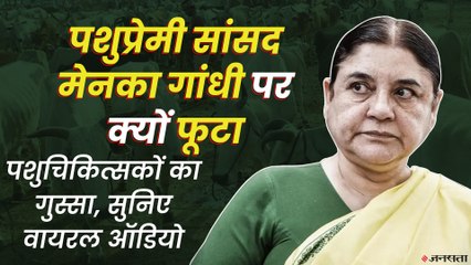 पशुप्रेमी सांसद मेनका गांधी पर क्यों फूटा पशुचिकित्सकों का गुस्सा, सुनिए वायरल ऑडियो